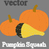 pumpkin and squash